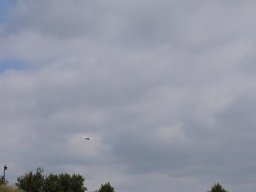LSK
